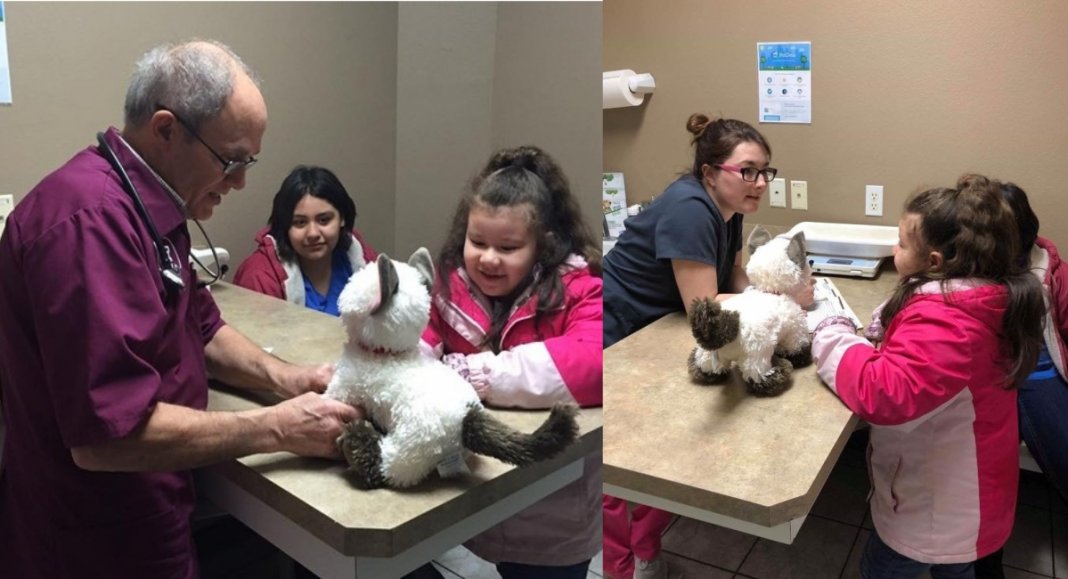 Médico veterinário atende gato de pelúcia “doente” de garotinha autista.