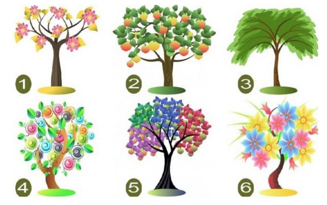 Teste: Escolha uma árvore e descubra os traços dominantes de sua personalidade