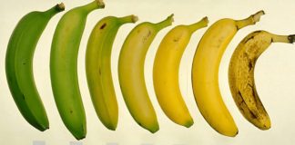 Qual a cor de banana você deveria comer? Sua escolha é mais importante do que você pensa!