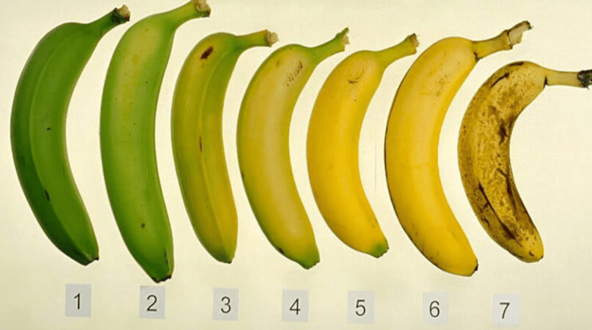 sabervivermais.com - Qual a cor de banana você deveria comer? Sua escolha é mais importante do que você pensa!