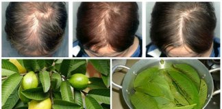 Descubra como a “folha de goiabeira”evita a queda de cabelo e faz crescer rapidamente!