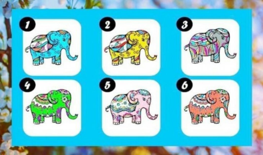 Escolha seu elefante favorito e veja a mensagem especial que ele tem para sua vida