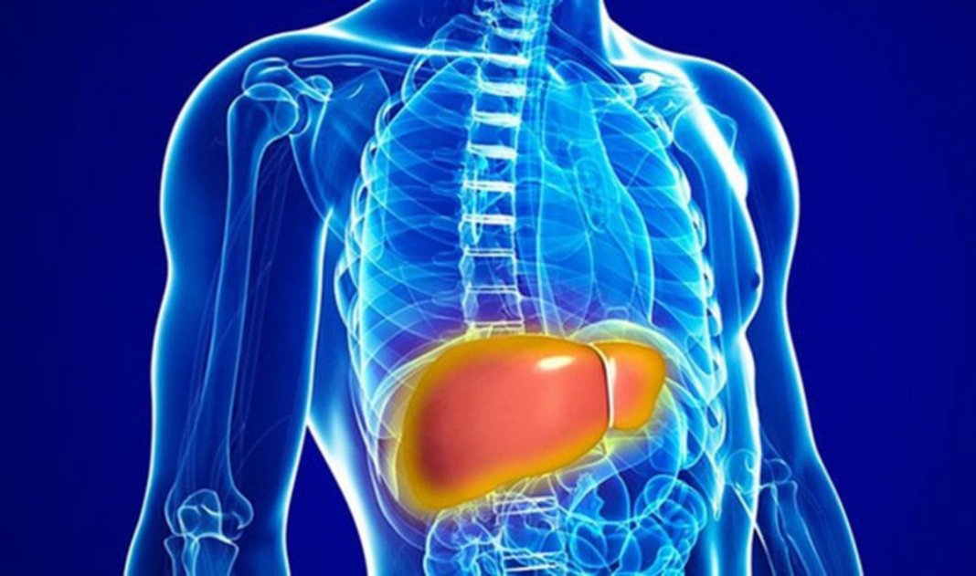 Gordura no fígado: 1 em cada 5 pessoas tem. Veja os 10 principais sintomas