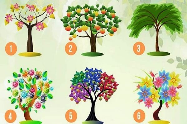 sabervivermais.com - Teste: Escolha uma árvore e descubra os traços dominantes de sua personalidade