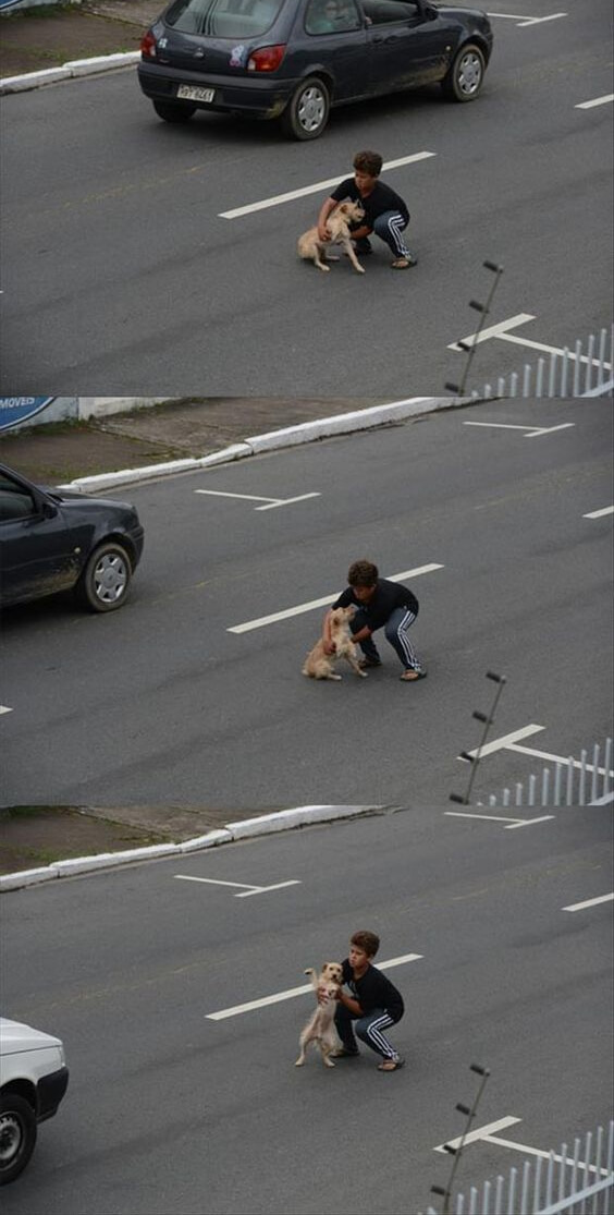sabervivermais.com - Menino socorre cão atropelado no meio de uma rua movimentada