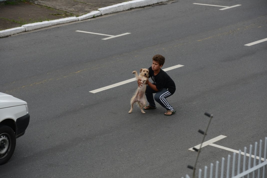 Menino socorre cão atropelado no meio de uma rua movimentada