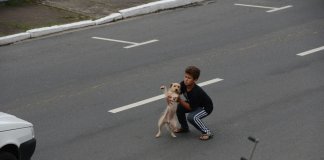 Menino socorre cão atropelado no meio de uma rua movimentada