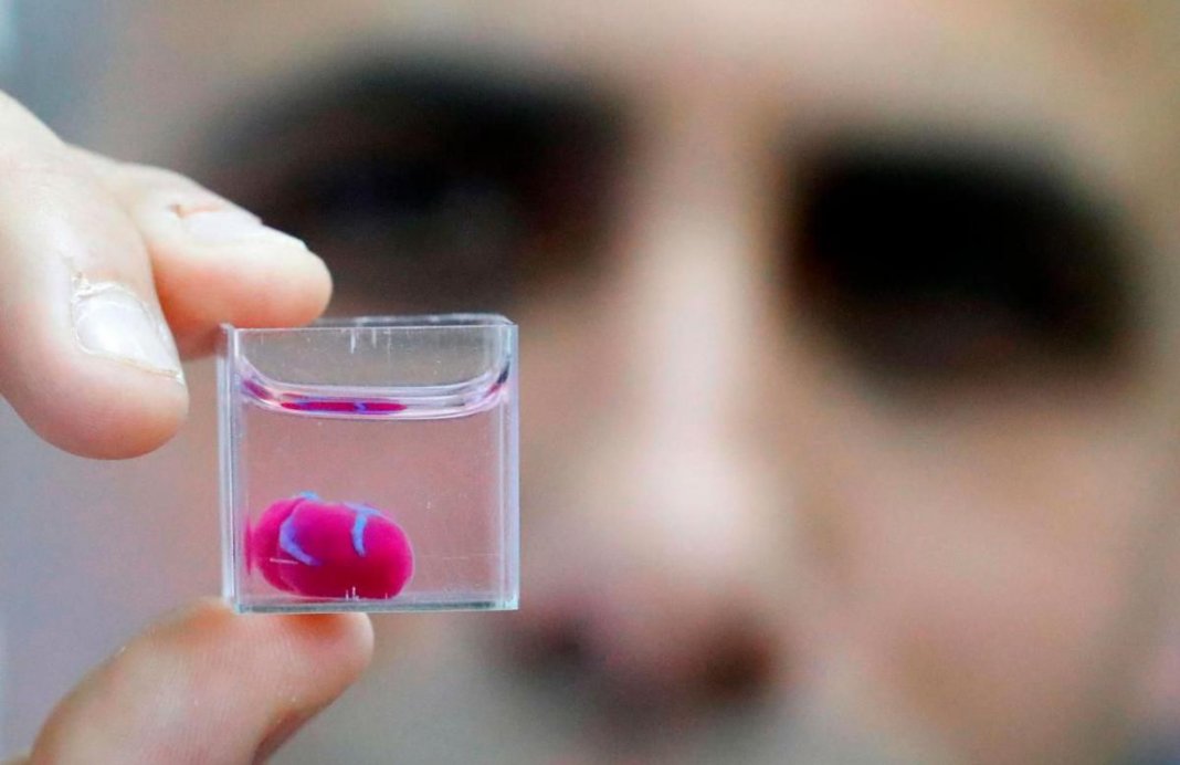 Primeiro coração impresso em 3D  feito a partir de tecidos humanos é apresentado por cientistas de Israel