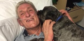 Homem que estava em coma, desperta com o latido de seu cachorro: “ele é meu anjo da guarda”