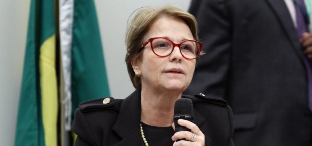 Fala inusitada de Ministra,”só passa fome se quiser”. Ela pede que população coma manga para matar a fome