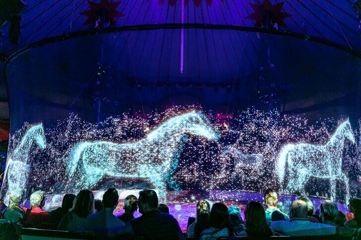 sabervivermais.com - Circo alemão se recusa a maltratar animais. Eles criaram lindos hologramas para admirá-los