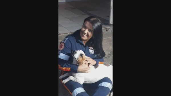 sabervivermais.com - Amor incondicional! Cãozinho protege dono que foi atropelado