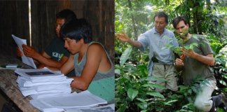 Indígenas da Amazônia criam enciclopédia com 500 páginas catalogando plantas e seus benefícios