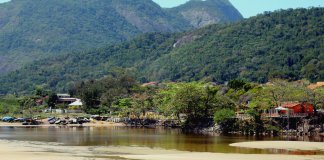 Biólogo está recuperando sozinho um manguezal no Brasil