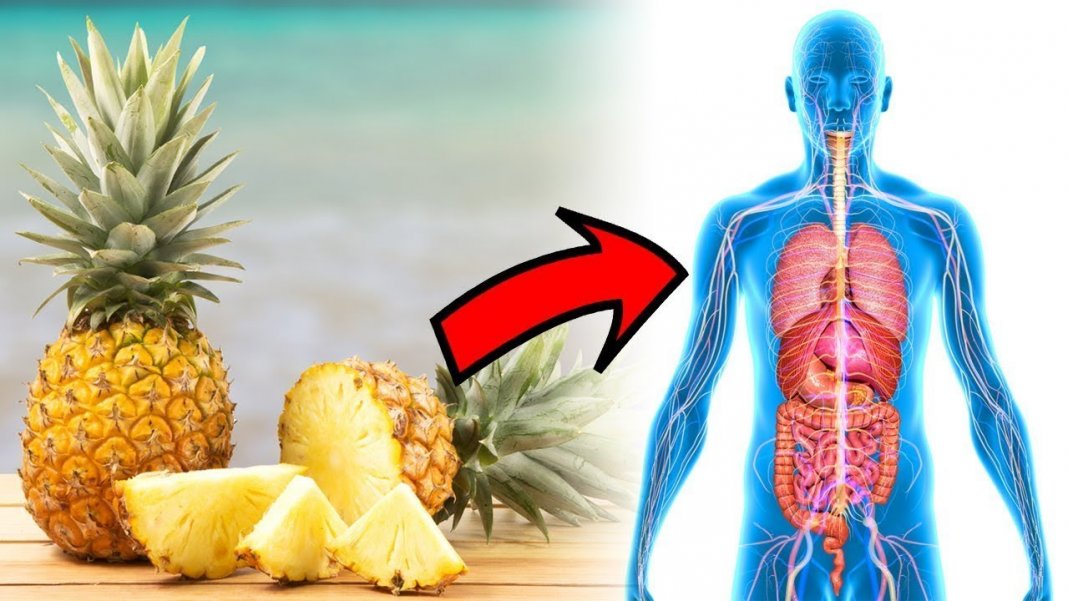 Aprenda a usar o “abacaxi” pra desobstruir as artérias e evitar doenças do coração