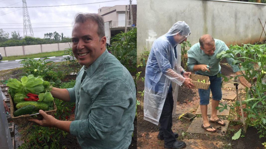 Médico brasileiro ensina pacientes cultivarem seus proprios alimentos