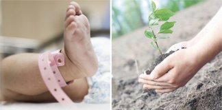 Em Bruxelas, eles plantarão uma árvore para cada bebê que nascer