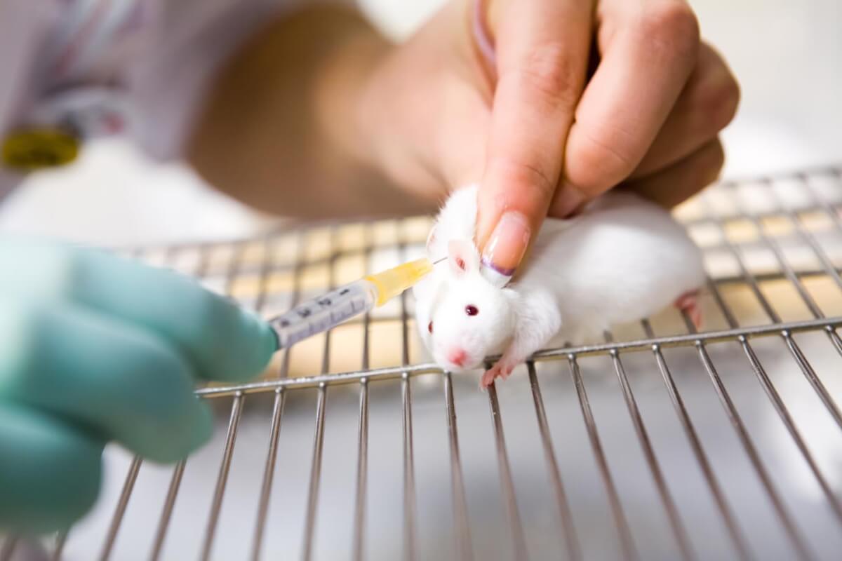 sabervivermais.com - Indústria cosmética na China anuncia o fim de testes em animais