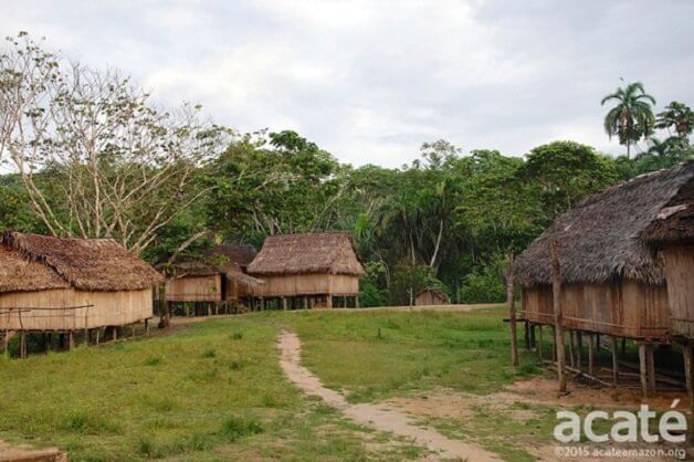 sabervivermais.com - Indígenas da Amazônia criam enciclopédia com 500 páginas catalogando plantas e seus benefícios