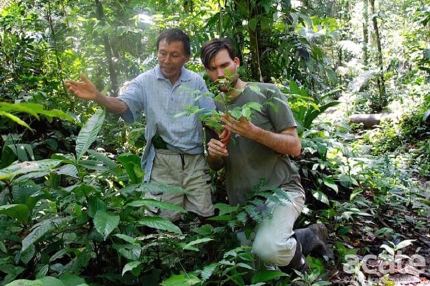 sabervivermais.com - Indígenas da Amazônia criam enciclopédia com 500 páginas catalogando plantas e seus benefícios