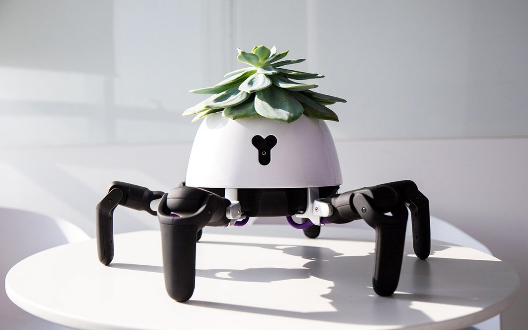Conheça o vaso robô, que busca o sol e avisa quando a planta precisa de água!
