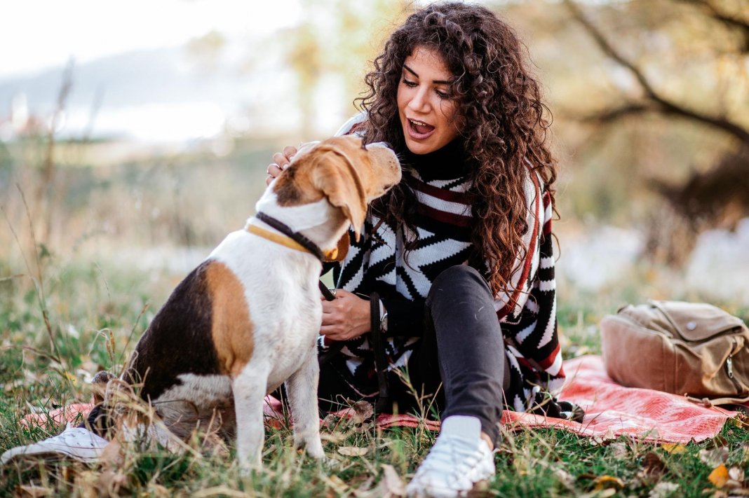 Pessoas que conversam com animais de estimação são mais inteligentes aponta estudo