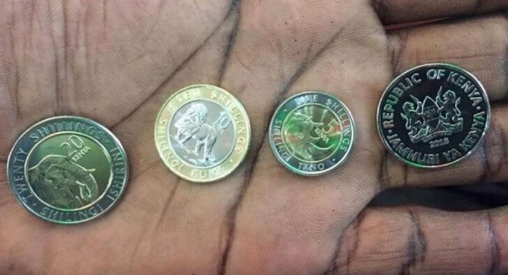 sabervivermais.com - Quênia tira a imagens dos políticos de suas moedas e os substitui por animais