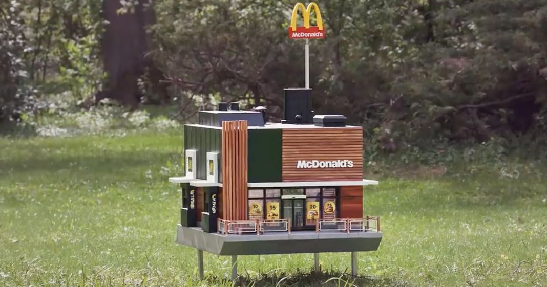 O McDonald’s mais pequeno do mundo é só para abelhas!