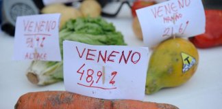 Clorpirifós: Agrotóxico que reduz QI de crianças tem uso crescente no Brasil