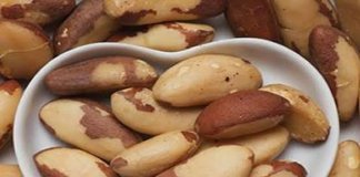 Comer apenas 2 castanhas-do-Pará pode ajudar a prevenir câncer, ansiedade, depressão e ataque cardíaco