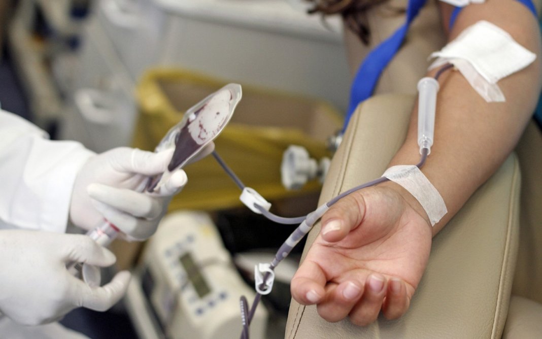 Doadores de sangue agora terão direito a meia entrada. Projeto aprovado no Senado