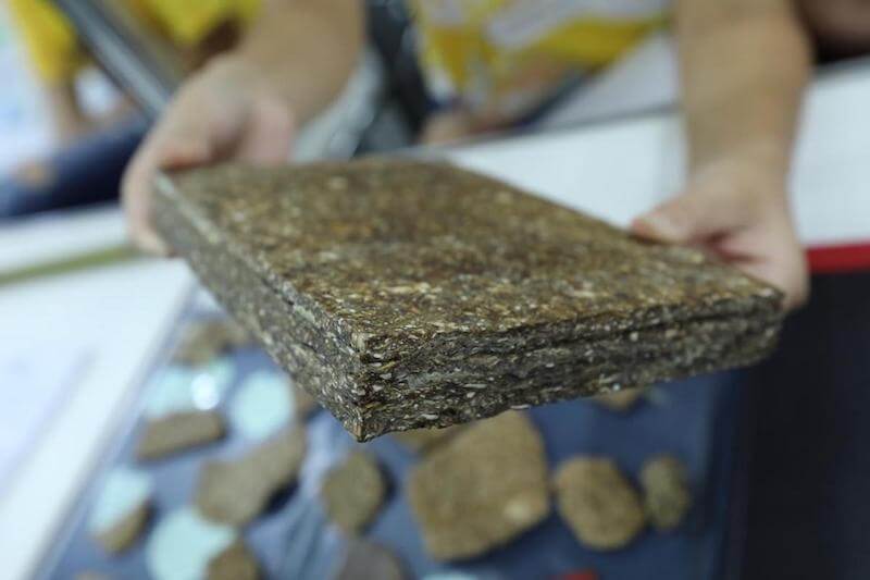 sabervivermais.com - Estudantes produzem uma madeira sustentável a partir da casca de mandioca, resistente às traças, cupins e até ao fogo