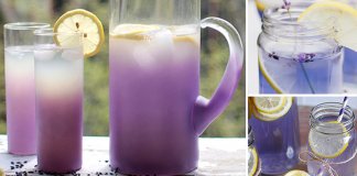 Limonada com lavanda, ajuda a se livrar de dores de cabeça e ansiedade