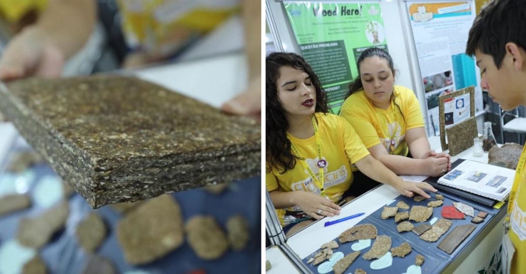 Estudantes produzem uma madeira sustentável a partir da casca de mandioca, resistente às traças, cupins e até ao fogo