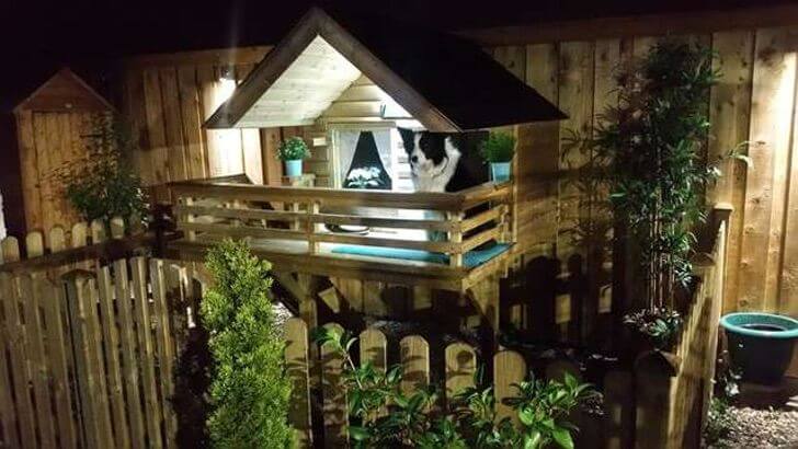 sabervivermais.com - Ele construiu uma bela casa com luzes e terraço para a seu cãozinho que ficava muito tempo sozinho