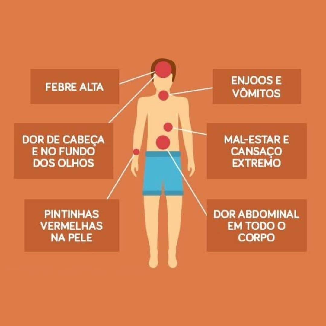sabervivermais.com - Está na última etapa de teste a vacina contra dengue no Brasil