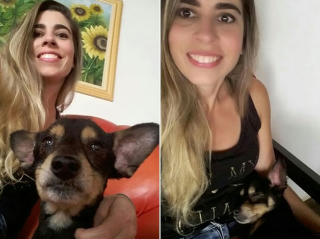 sabervivermais.com - Estilista encontrou seu cão perdido há 6 anos, após ver uma fotografia no Facebook