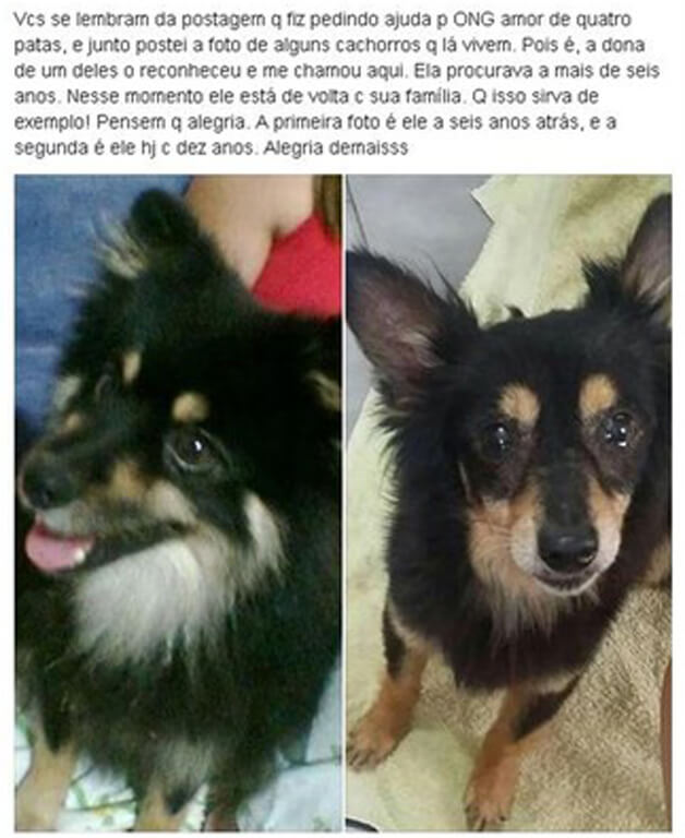 sabervivermais.com - Estilista encontrou seu cão perdido há 6 anos, após ver uma fotografia no Facebook