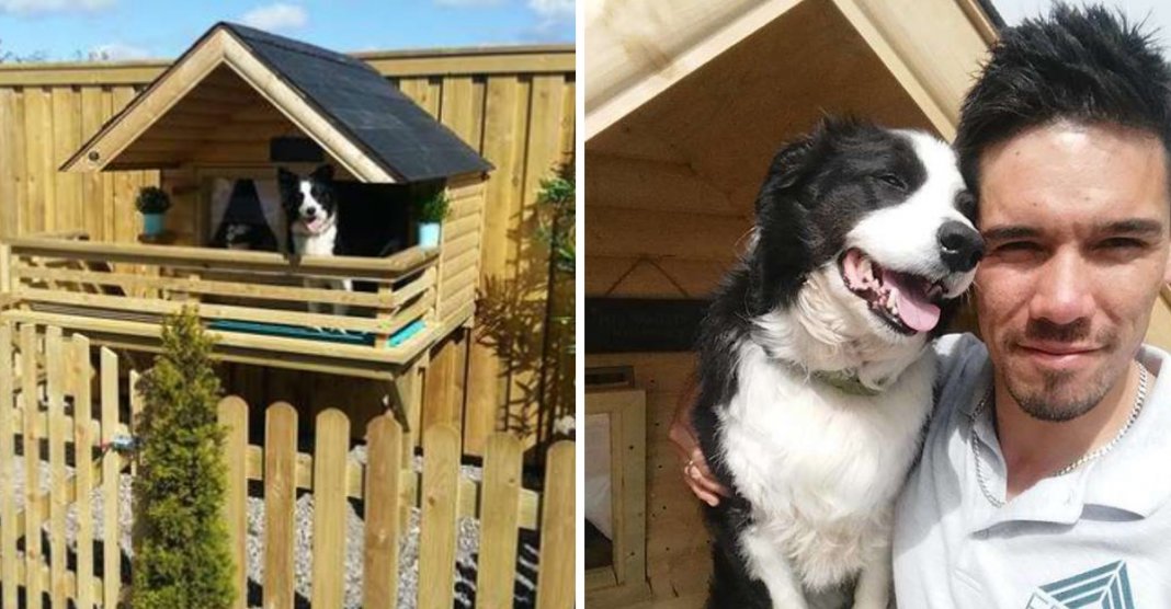 Ele construiu uma bela casa com luzes e terraço para a seu cãozinho que ficava muito tempo sozinho
