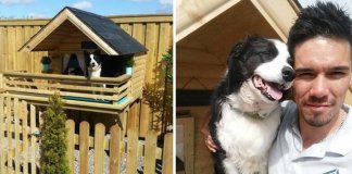 Ele construiu uma bela casa com luzes e terraço para a seu cãozinho que ficava muito tempo sozinho