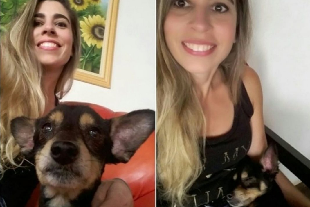 Estilista encontrou seu cão perdido há 6 anos, após ver uma fotografia no Facebook