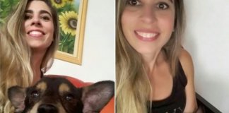 Estilista encontrou seu cão perdido há 6 anos, após ver uma fotografia no Facebook