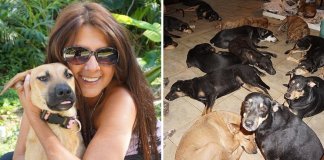 Mulher salva 97 cães de rua que iriam morrer no furacão Dorian.