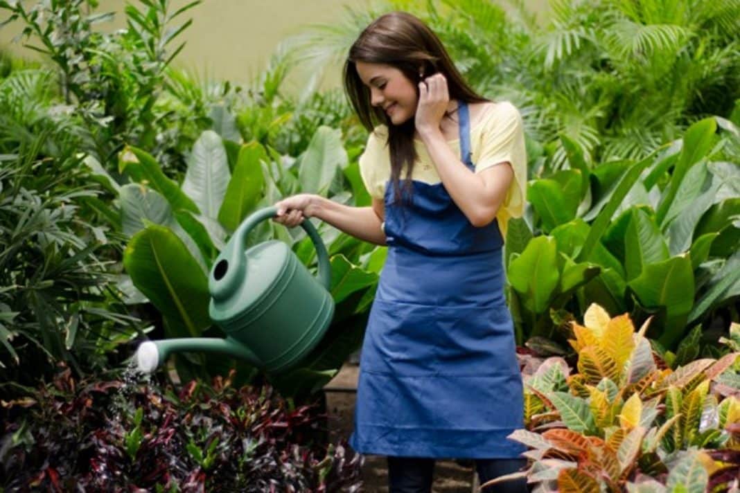 As mulheres que adoram se rodear de plantas vivem mais, é o que confirma a ciência