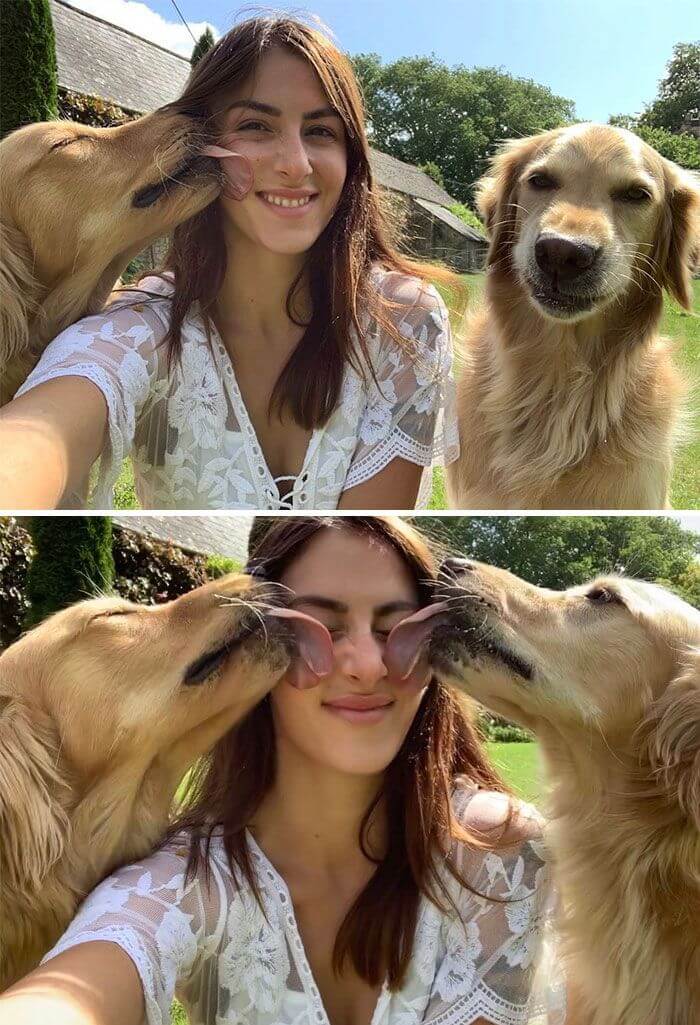 sabervivermais.com - A conexão que essa garota tem com seus cães é a definição de almas gêmeas