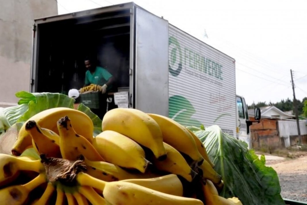 Cidadãos podem trocar recicláveis e pneus usados por frutas, verduras e legumes no Paraná