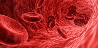 Cientistas japoneses desenvolvem sangue artificial capaz de ser doador universal