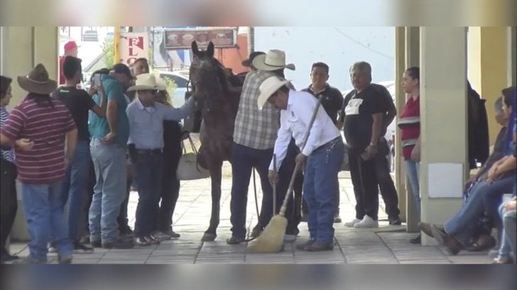 sabervivermais.com - Cavalo "chorou" na porta do funeral de seu dono. Ele parece entender que ele perdeu para sempre