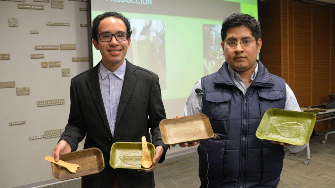 Grupo peruano lança placas compostáveis ​​feitas de folhas de bananeira