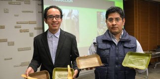 Grupo peruano lança placas compostáveis ​​feitas de folhas de bananeira